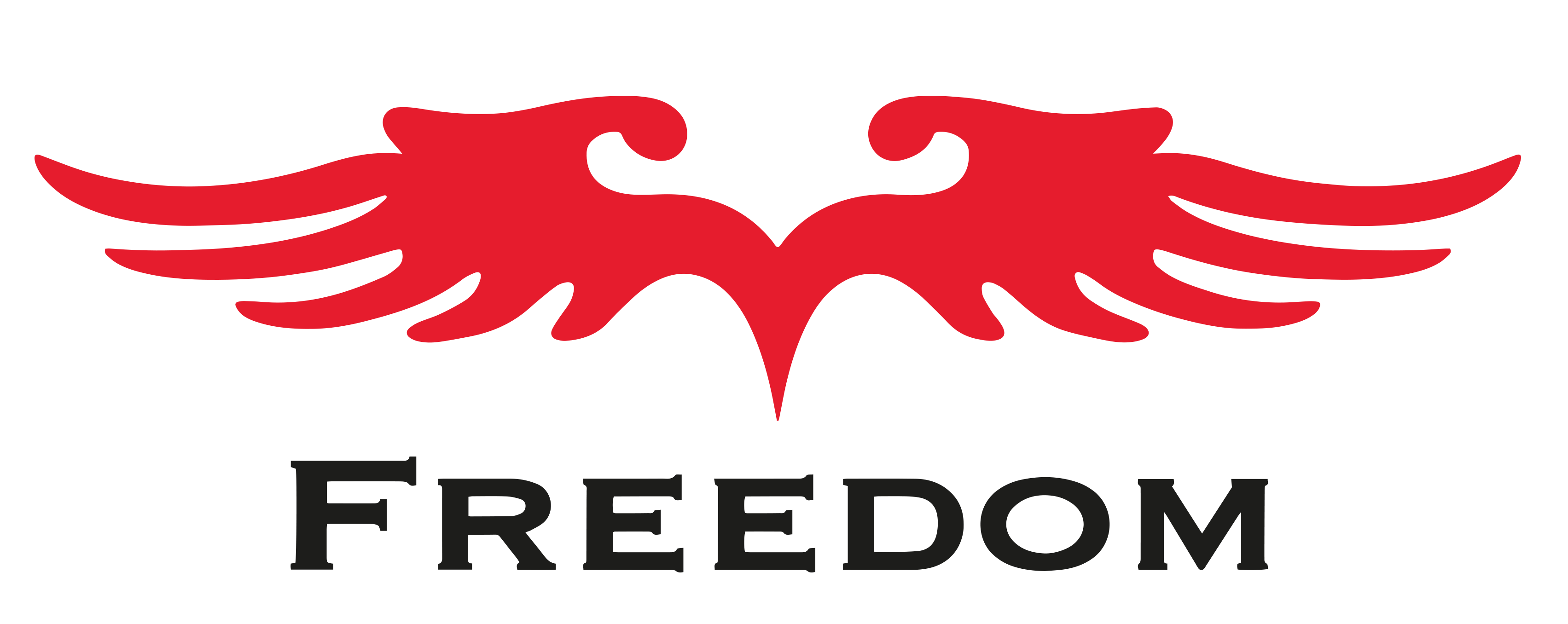 Cinturones Freedom