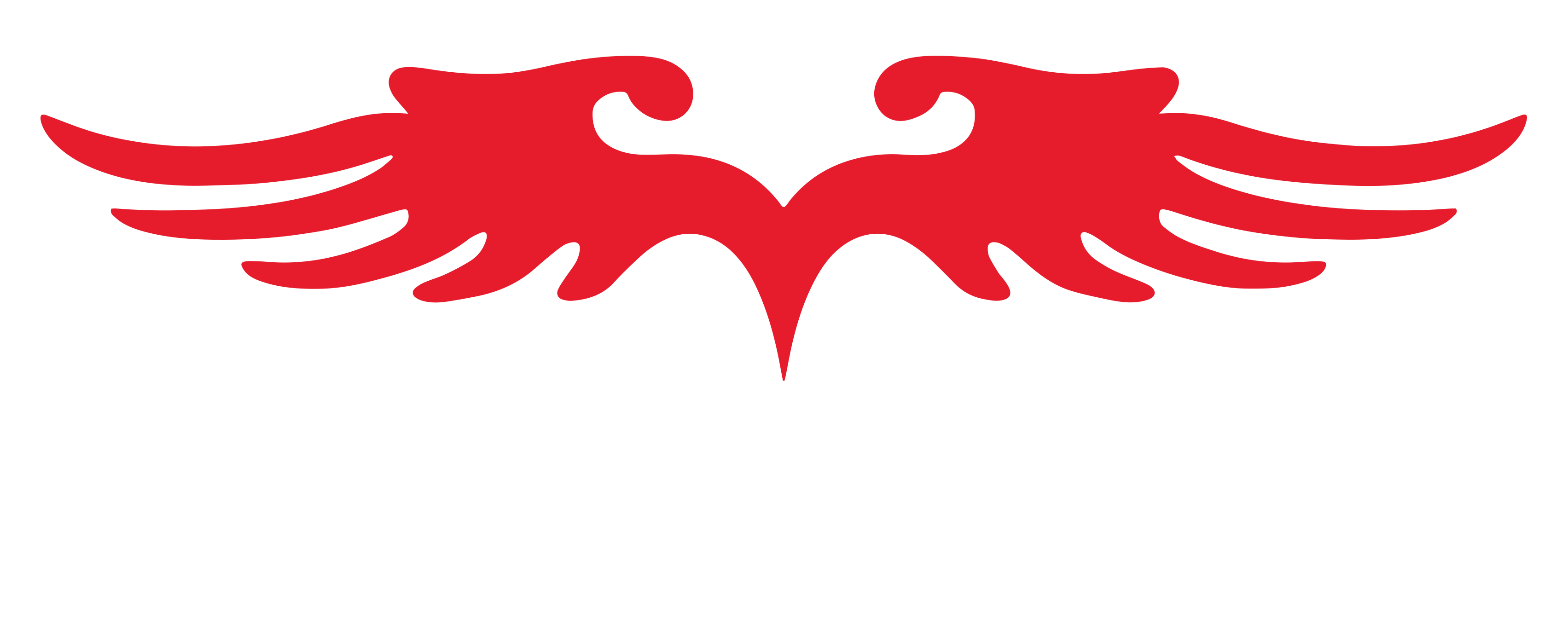 Cinturones Freedom